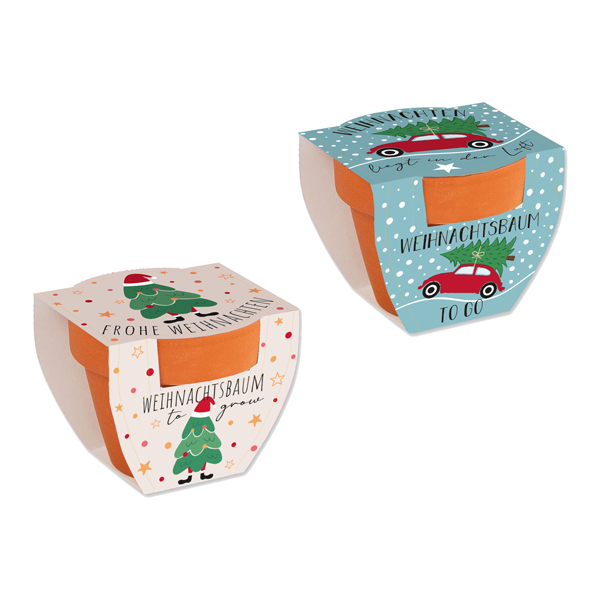 Kit per la coltivazione di un albero di Natale in